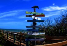 Sebastian Inlet Park : Saving Sea Turtles Sebastian Inlet Pier